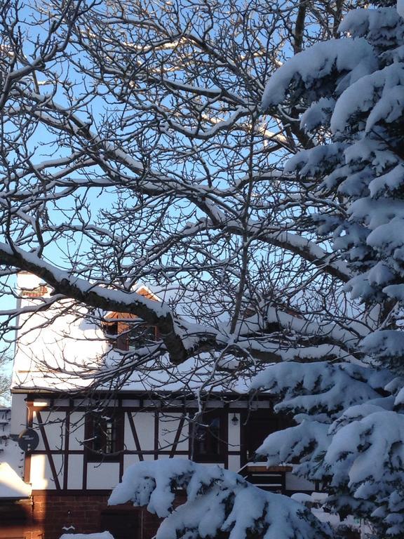 Ferienhaus Annabell Weisbach  Esterno foto